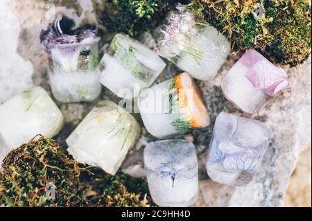 Frozen Flowers in Ice Cubes Stock Photo
