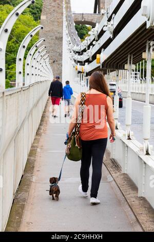 Girl with minature dachshund walking across Isambard Kingdom Brunel Clifton Suspension Bridge over the Avon Gorge, between Clifton and Leigh Woods in Stock Photo