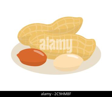 Peanut isolated on white background. Stock Vector