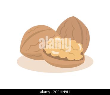 Walnut nuts isolated on white background. Stock Vector