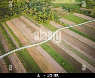 Eagle eye view of narrow dirt road in the middle of cultivated crop field on the forest edge  in rural landscape around Zagreb city, Croatia Stock Photo