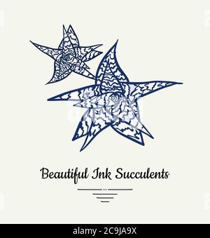 Tiger Aloe hand drawn succulent vector isolated illustration. Modern succulent plant logo, icon, poster, banner, postcard. Minimalistic floral Stock Vector