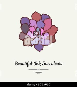 Echeveria hand drawn succulent vector isolated illustration. Modern ink succulent plant logo, icon, poster, banner, postcard. Minimalistic floral Stock Vector