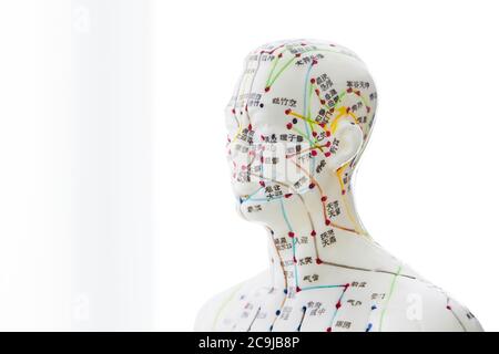 Acupuncture model against a white background. Stock Photo