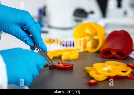 Quality control food safety inspector working in a laboratory Stock ...