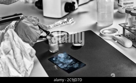 Forensic science investigator collecting fingerprints. Stock Photo