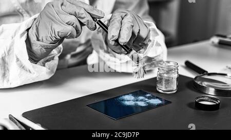 Forensic science investigator collecting fingerprints. Stock Photo