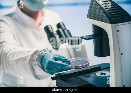 Microbiologist using light microscope. Stock Photo