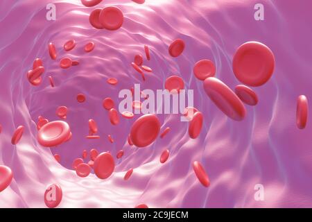 Illustration of human blood cells flowing through a blood vessel. Stock Photo