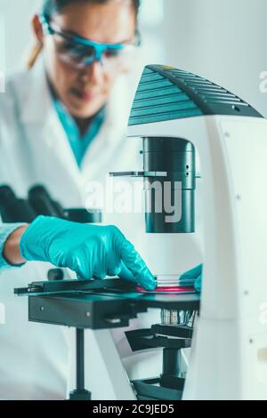 Biotechnology. Female scientist working in laboratory. Stock Photo