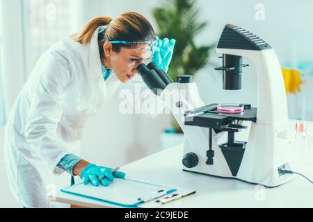 Young scientist working in her lab. Stock Photo