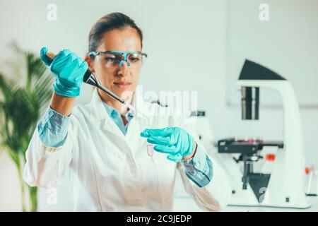 Laboratory technician with micropipette. Stock Photo