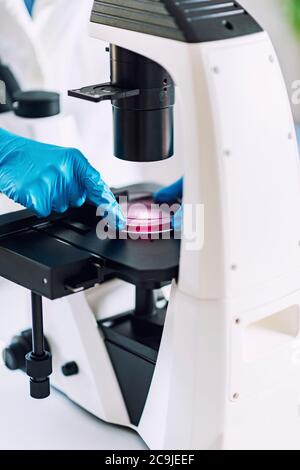 Laboratory work. Stock Photo