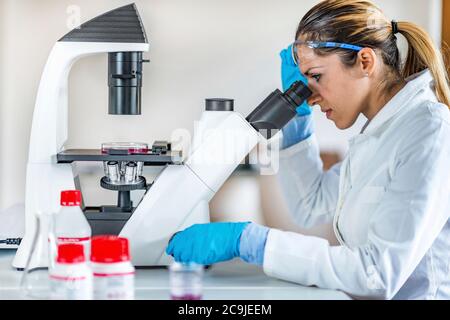 Researcher in laboratory. Stock Photo