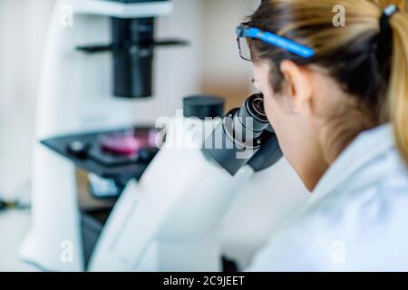 Researcher in laboratory. Stock Photo