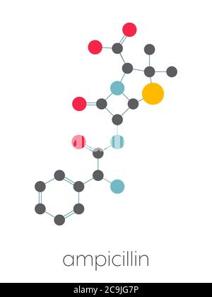 Ampicillin beta-lactam antibiotic drug molecule. Stylized skeletal formula (chemical structure). Atoms are shown as color-coded circles connected by t Stock Photo