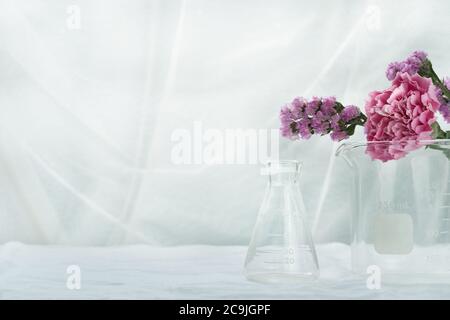 purple pink natural flower with science glass flask beaker in white cosmetic laboratory background Stock Photo