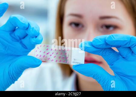 Biological research. Stock Photo