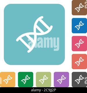 DNA molecule white flat icons on color rounded square backgrounds Stock Vector