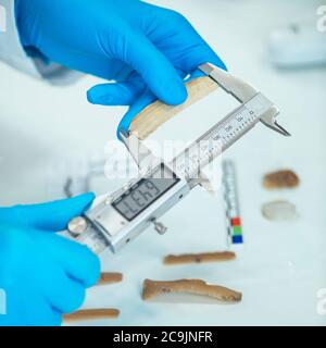 Lithic Analysis Lab Archaeologist measuring lithics with calliper in laboratory Stock Photo ...