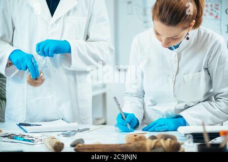 Male archaeologist putting ancient weight in a plastic bag, female archaeologist marking prehistoric artefact with serial number. Stock Photo