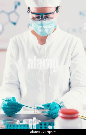 Microbiologist working in laboratory. Stock Photo
