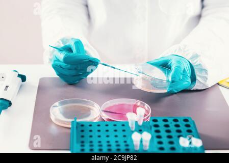 Microbiologist working in laboratory. Stock Photo