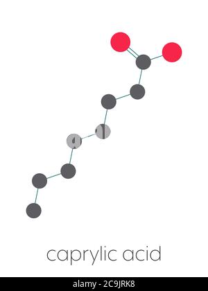 Caprylic (octanoic) acid molecule. Common saturated medium-chain fatty acid. Stylized skeletal formula (chemical structure). Atoms are shown as color- Stock Photo