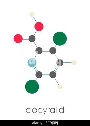 Clopyralid herbicide molecule. Stylized skeletal formula (chemical structure). Atoms are shown as color-coded circles connected by thin bonds, on a wh Stock Photo