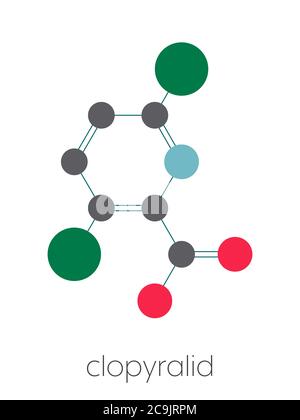 Clopyralid herbicide molecule. Stylized skeletal formula (chemical structure). Atoms are shown as color-coded circles connected by thin bonds, on a wh Stock Photo