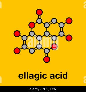 Ellagic acid dietary supplement molecule. Skeletal formula Stock Photo ...