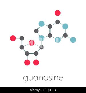 Guanosine purine nucleoside molecule. Important component of GTP, GDP, cGMP, GMP and RNA. Stylized skeletal formula (chemical structure). Atoms are sh Stock Photo