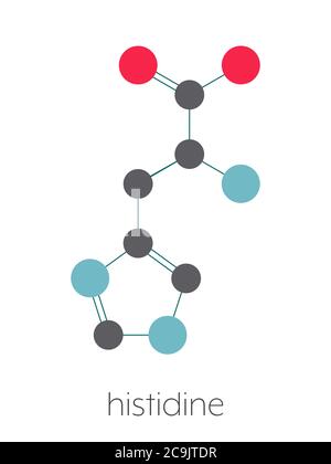 Histidine (l-histidine, His, H) Amino Acid Molecule. Skeletal Formula ...