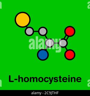 Homocysteine (Hcy) biomarker molecule. Increased levels indicate elevated risk of cardiovascular disease. Stylized skeletal formula (chemical structur Stock Photo