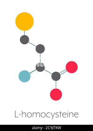 Homocysteine (Hcy) biomarker molecule. Increased levels indicate elevated risk of cardiovascular disease. Stylized skeletal formula (chemical structur Stock Photo