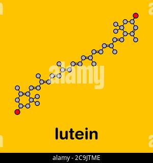 Lutein yellow-orange plant pigment molecule. Used as food and feed additive but also naturally present in many vegetables. Stylized skeletal formula ( Stock Photo