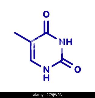 Thymine (T) nucleobase molecule. present in DNA. Blue skeletal formula on white background. Stock Photo
