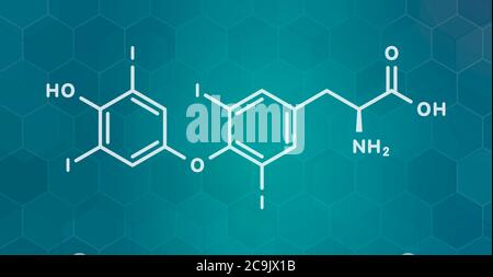 Thyroxine (T4, levothyroxine) thyroid hormone molecule. Prohormone of thyronine (T3). Used as drug to treat hypothyroidism. White skeletal formula on Stock Photo