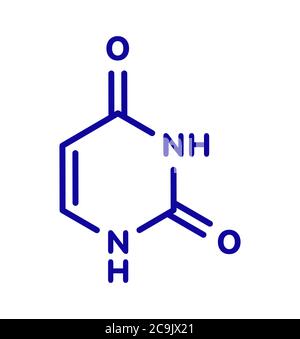Uracil (U) nucleobase molecule. Present in ribonucleic acid (RNA). Blue skeletal formula on white background. Stock Photo