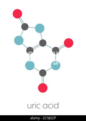 Uric acid gout molecule, chemical structure. High blood levels of Stock ...