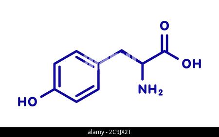 Tyrosine (l-tyrosine, Tyr, Y) amino acid molecule. Blue skeletal formula on white background. Stock Photo