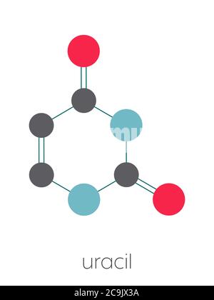 Uracil (U) nucleobase molecule. Present in ribonucleic acid (RNA). Stylized skeletal formula (chemical structure). Atoms are shown as color-coded circ Stock Photo