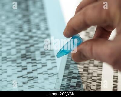 Scientist holding a sample in front of a DNA (deoxyribonucleic acid) autoradiogram on a light box. Stock Photo
