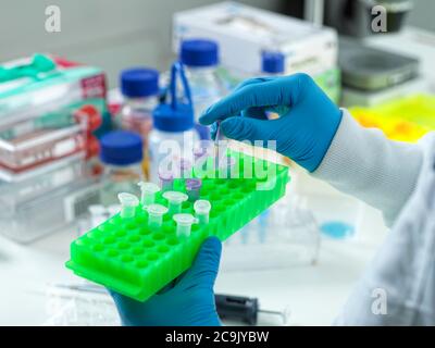 Scientist preparing a sample for automated analysis in the laboratory. Stock Photo
