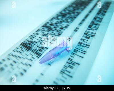 Genetic research. An eppendorf vial containing a sample sitting on a DNA (deoxyribonucleic acid) gel. Stock Photo