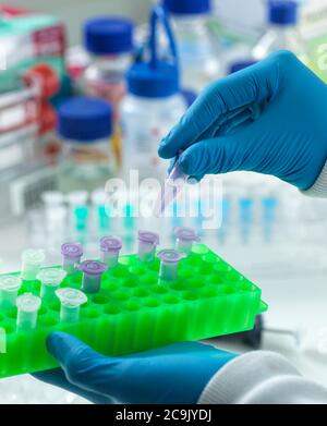 Scientist preparing a sample for automated analysis in the laboratory. Stock Photo