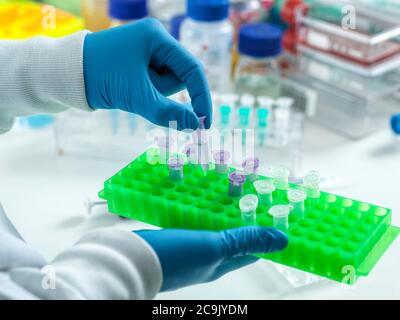 Scientist preparing a sample for automated analysis in the laboratory. Stock Photo