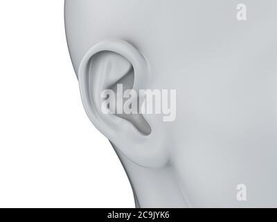 Female ear, illustration. Stock Photo