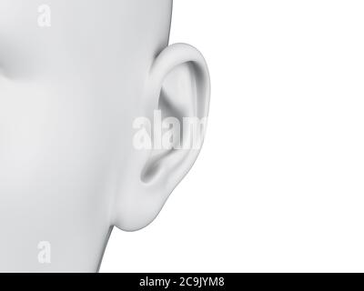 Female ear, illustration. Stock Photo