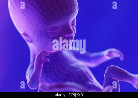 Foetus, week 14, illustration. Stock Photo